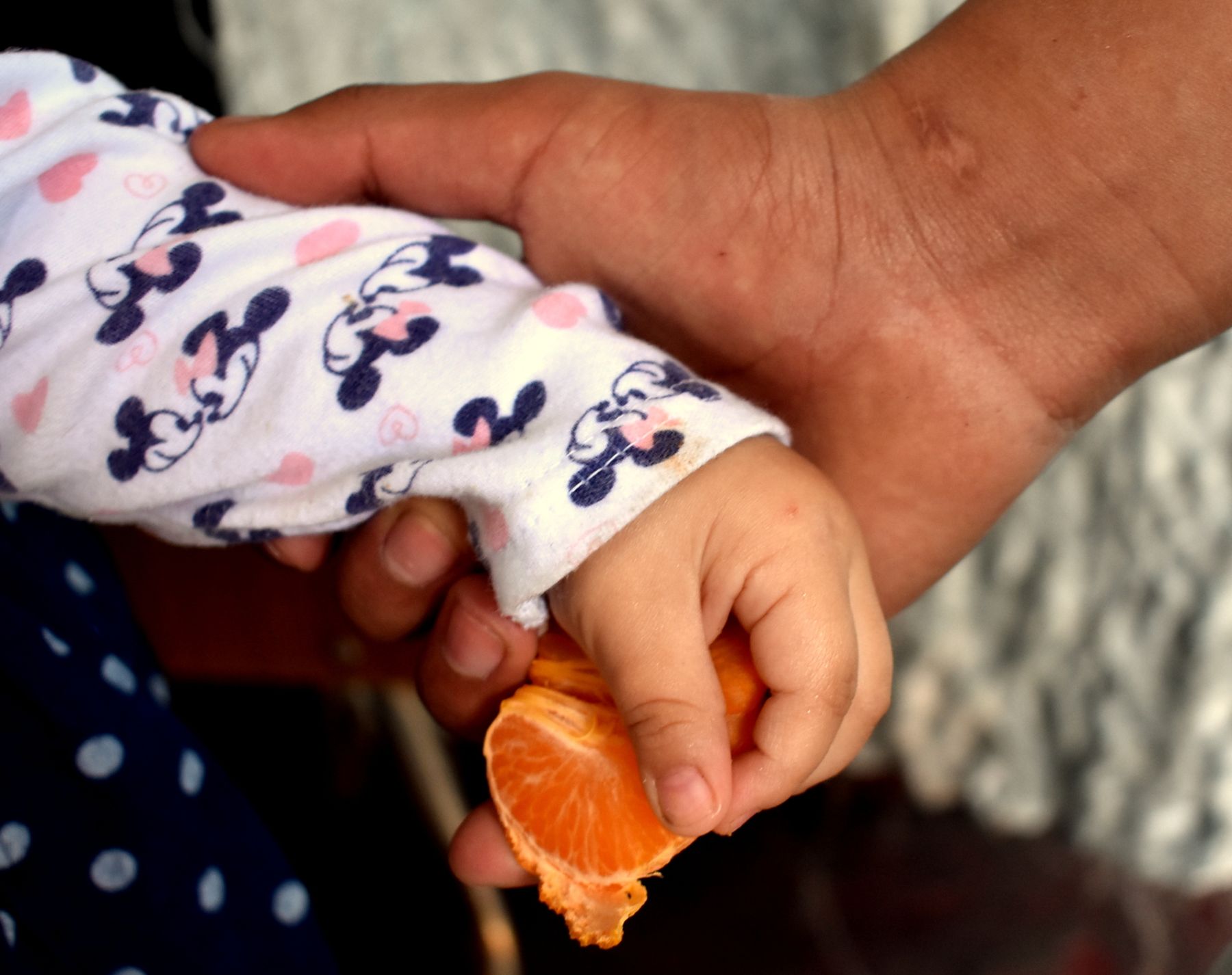 Una mano adulta sostiene la mano de una guagua que toma un gajo de mandarina